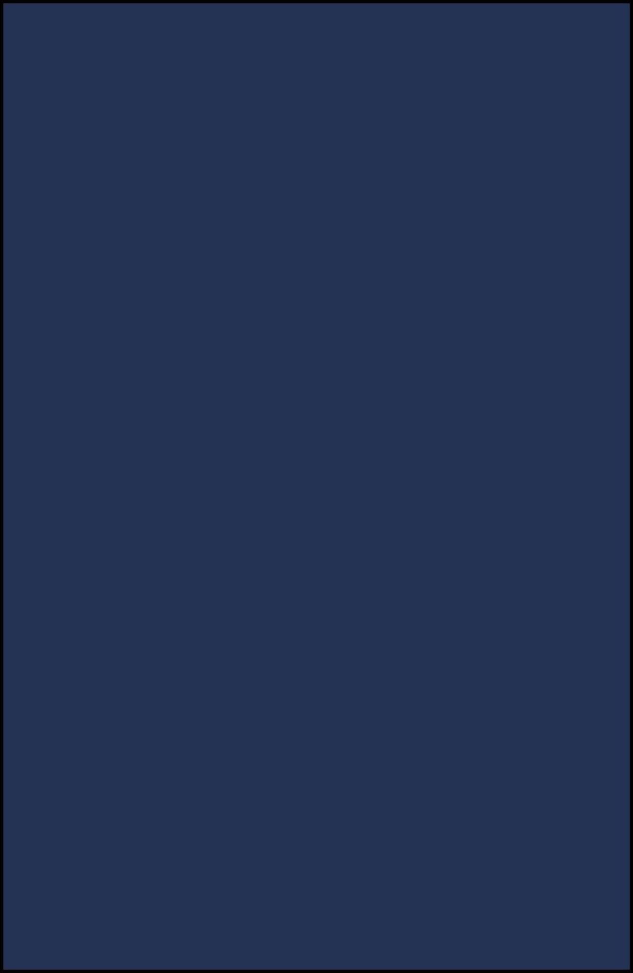 Sleek Voile Top