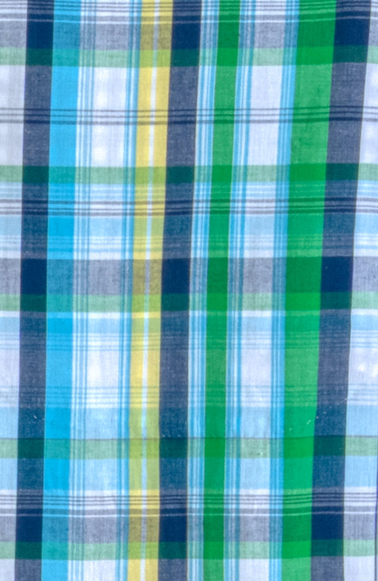 Picnic Time Boyfriend Shirt